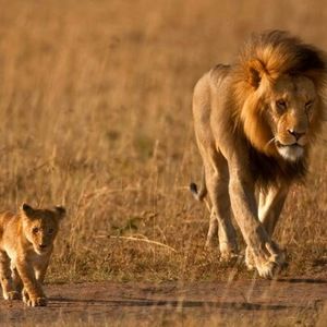 Meet your Posher, Darrell